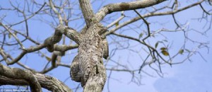 pc93e1a2d81fa1edb47c54f2b89372e83f_1017